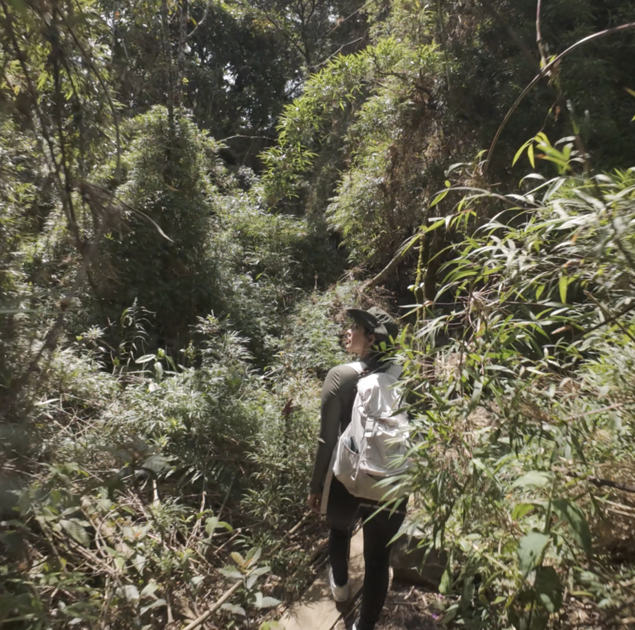 Personas haciendo senderismo